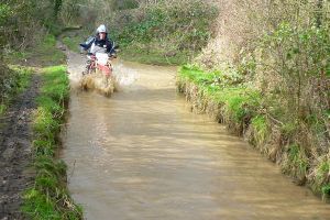 P1100229 - Version 2