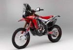 CRF-rally